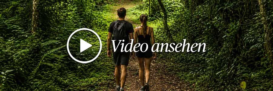Video Ansehen